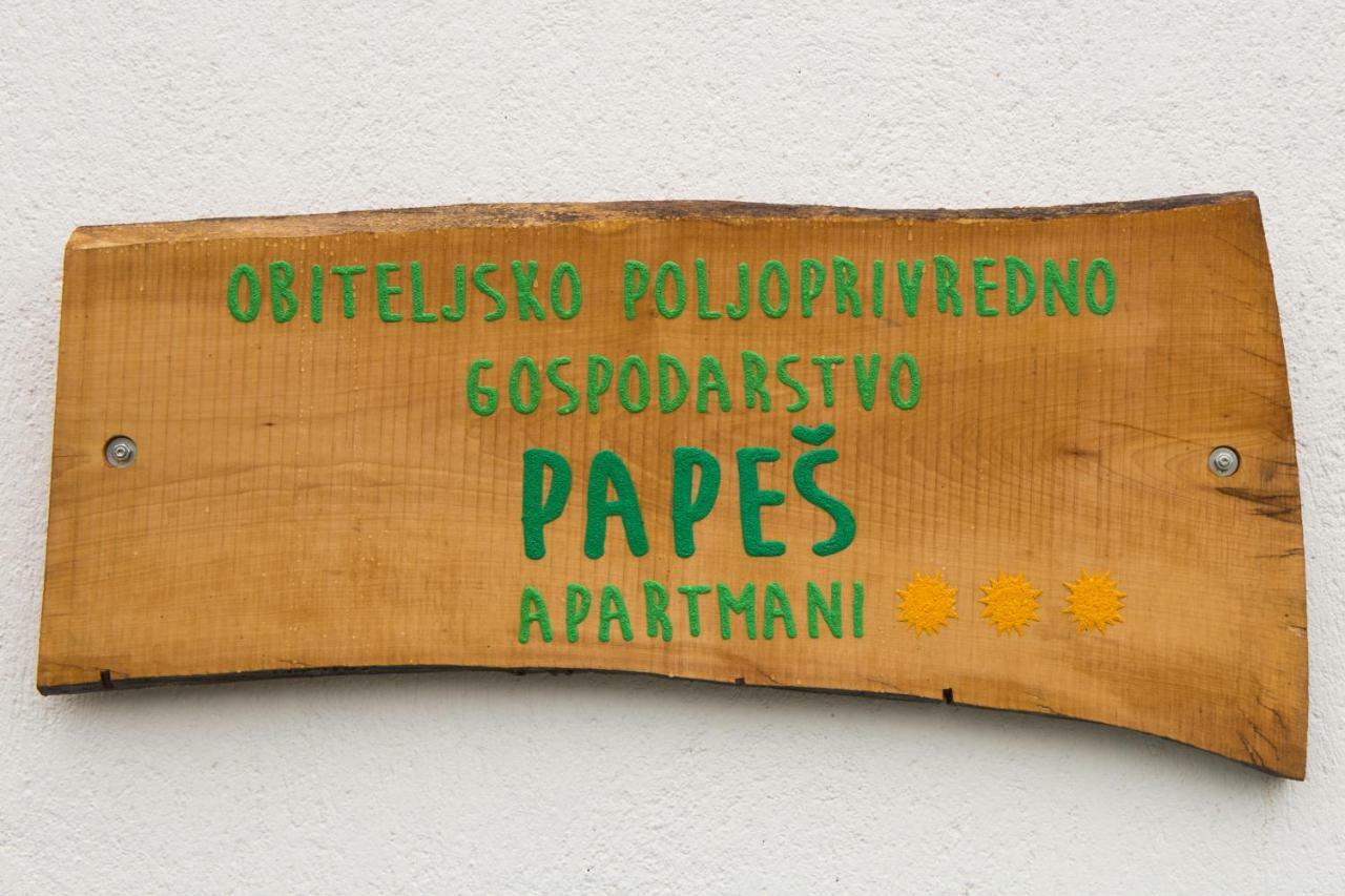 Apartmani Papes Krapina Exterior foto